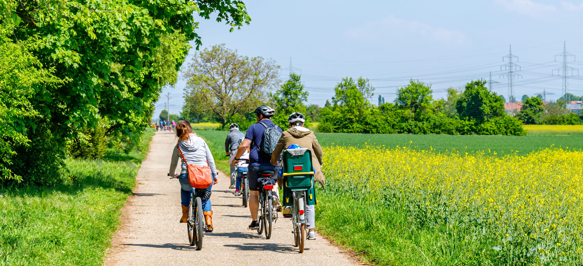 Fietsvierdaagse 2026   beeldmateriaal   verkleind