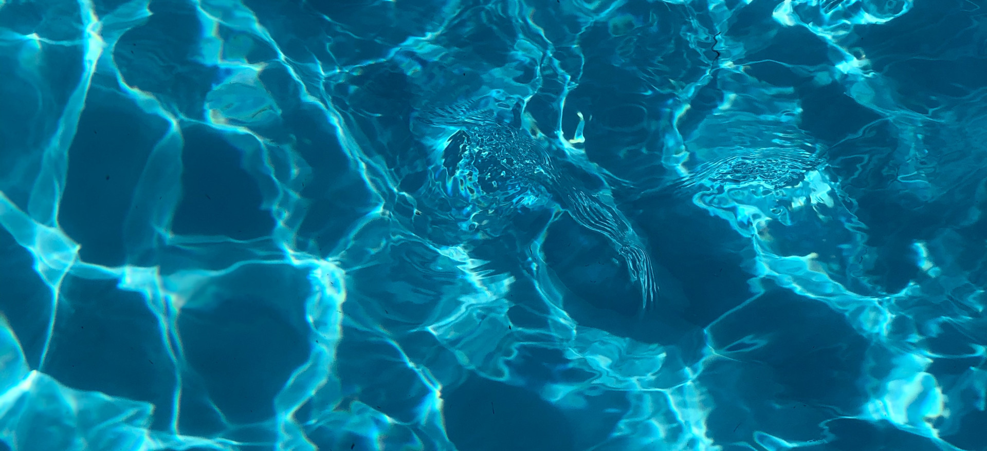 artem militonian UYW6FZLlnL8 unsplash